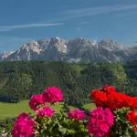 Aparthotel Landhaus Hubertus Schladming